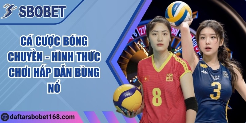 Cá cược bóng chuyền - Hình thức chơi hấp dẫn bùng nổ 4 Cá cược bóng chuyền - Hình thức chơi hấp dẫn bùng nổ