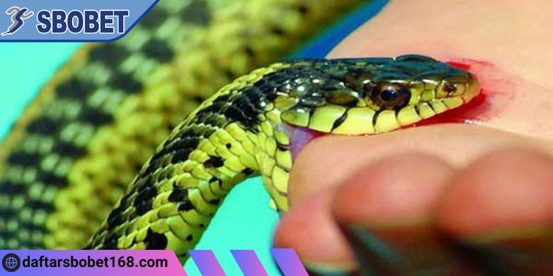 Chiêm bao có rắn cá có thể mang lại nhiều ý nghĩa nhất định