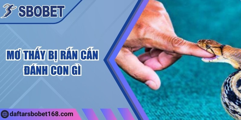 Mơ thấy bị rắn cắn đánh con gì? Bật mí ý nghĩa và con số 4 Mơ thấy bị rắn cắn đánh con gì? Bật mí ý nghĩa và con số