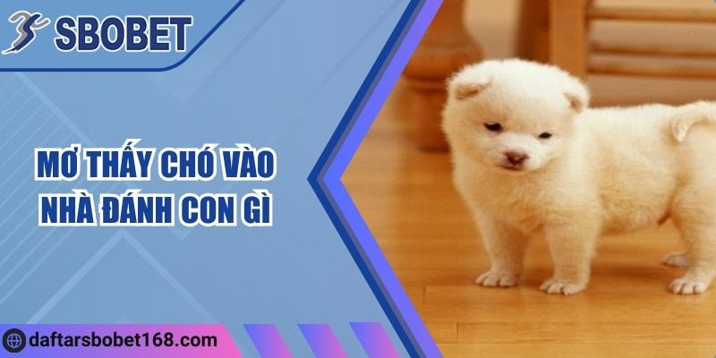 Mơ thấy chó vào nhà đánh con gì để trúng thưởng lớn?