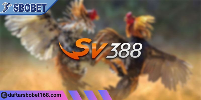Tóm tắt thông tin về thương hiệu giải trí đình đám SV388
