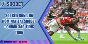 Soi kèo bóng đá hôm nay tại Sbobet - Chuẩn xác từng trận
